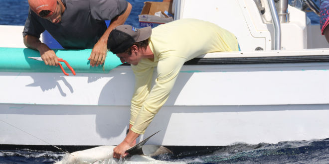 两名男生, 一个穿黄色长袖衬衫，一个穿深灰色短袖衬衫, 靠在一条白色的小船上, 抓鱼.